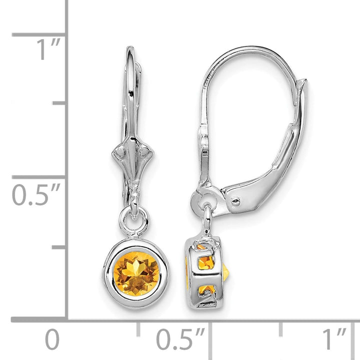 Sterling Silver 5mm Round Leverback Earrings, view 12 of 16
