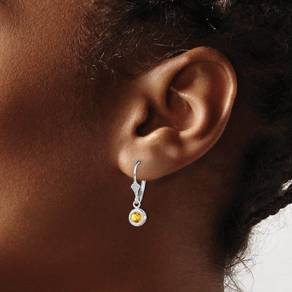 Sterling Silver 5mm Round Leverback Earrings, view 11 of 16