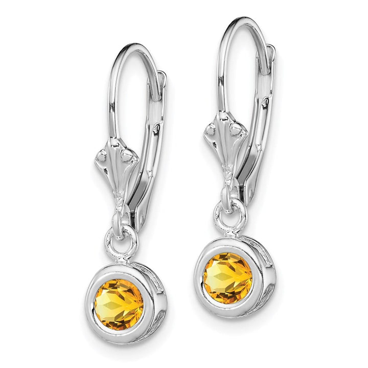 Sterling Silver 5mm Round Leverback Earrings, view 10 of 16