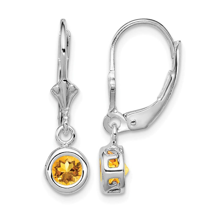 Sterling Silver 5mm Round Leverback Earrings, view 9 of 16