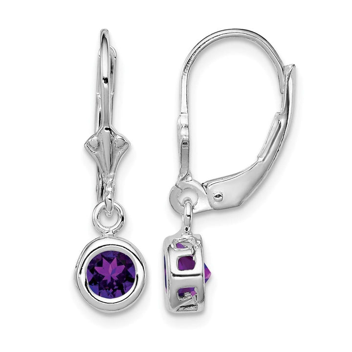 Sterling Silver 5mm Round Leverback Earrings, view 1 of 16