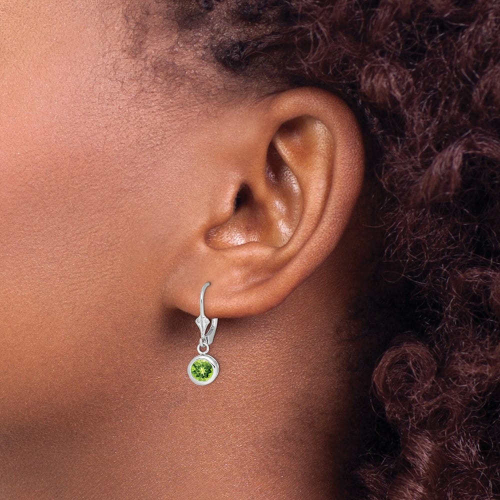 Sterling Silver 6mm Round Leverback Earrings, view 19 of 20