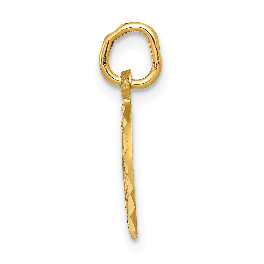 14K Yellow Gold Polished Eternal Life Cross in Circle Design Pendant