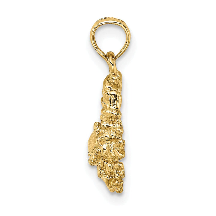 14k Yellow Gold Polished Texture Finish3-D Cancer Zodiac Charm Pendant