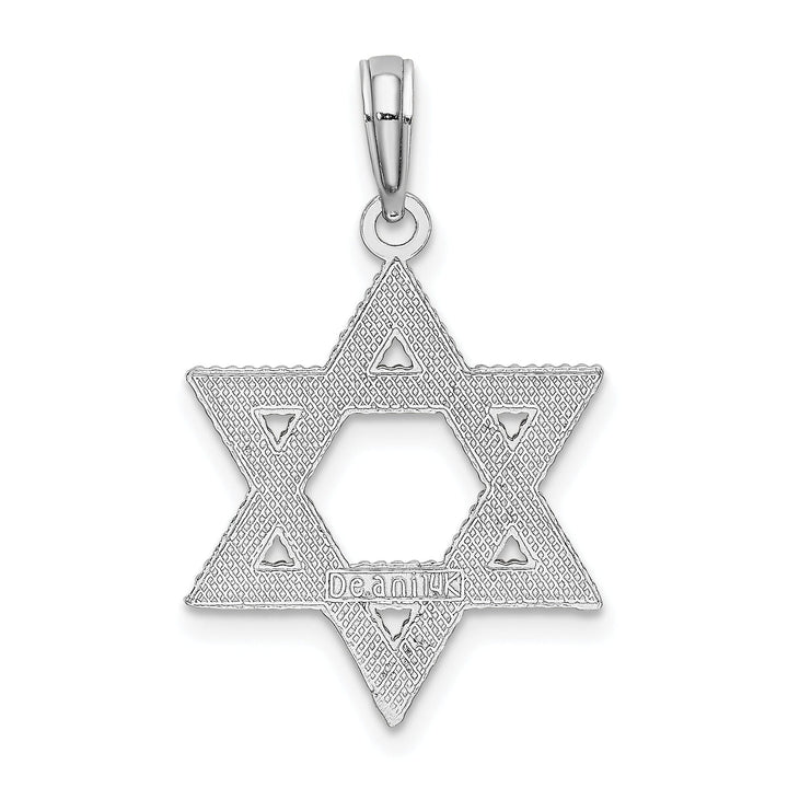 14k White Gold Texture D.C Finish Solid Star of David Pendant