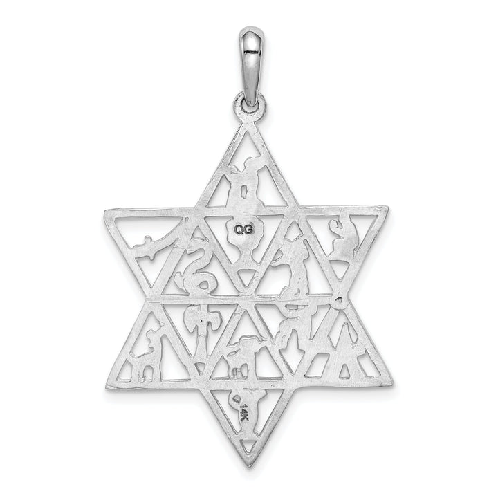 14k White Gold Rhodium Polished Finish 12 Tribes Star of David Pendant