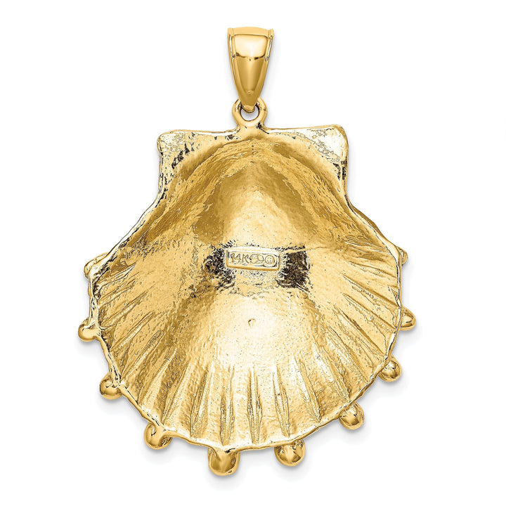 14K Yellow Gold Polished Textured Finish Lion's Paw Sea Shell Charm Pendant