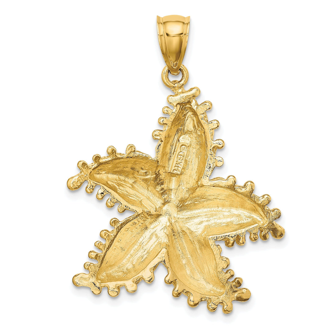 14K Yellow Gold Open Back Textured Polished Beaded Finish Starfish Charm Pendant