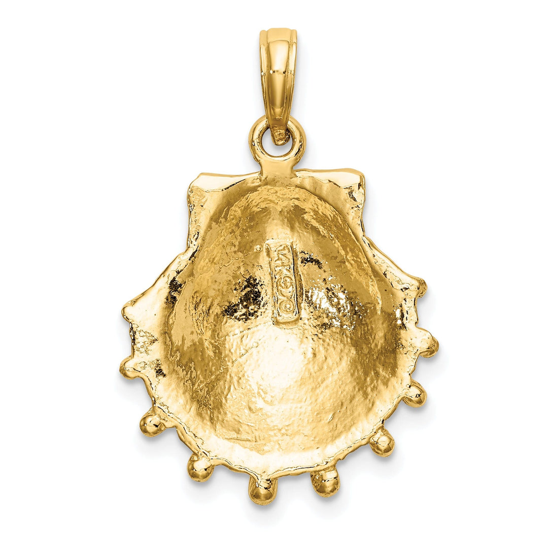 14K Yellow Gold Polished Textured Finish Lions Paw Sea Shell Charm Pendant