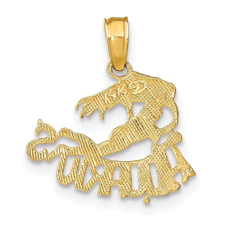 14K Yellow Gold Polished Textured Finish Zodiac AQUARIUS Charm Pendant