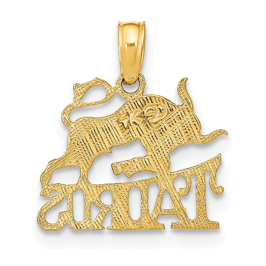 14K Yellow Gold Polished Textured Finish Zodiac TAURUS Charm Pendant