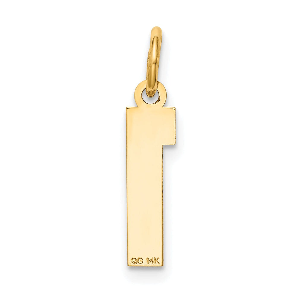 14k Yellow Gold Satin Brush Finish Small Size Number 1 Charm Pendant