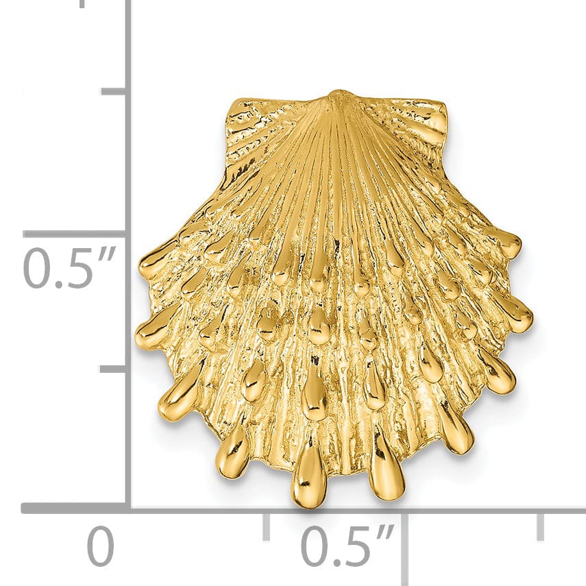 14K Yellow Gold Solid Polished Texture Finish Lions Paw Sea Shell Slide Pendant Fits up to 6 mm Fancy Omega