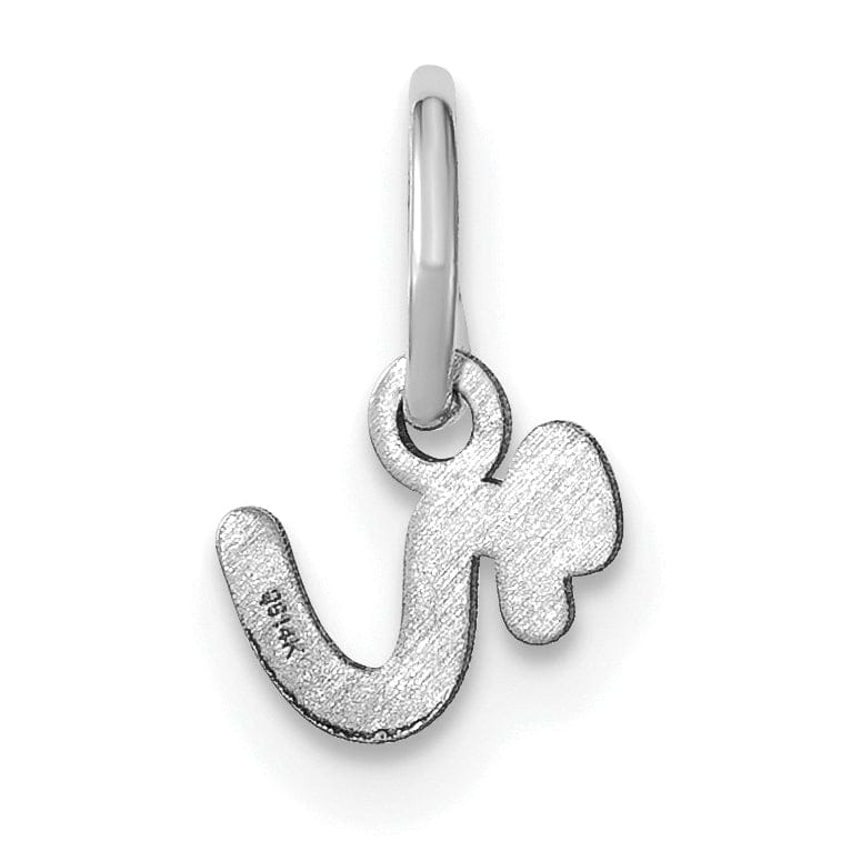 14K White Gold Small Size Lower Case Script Letter R Initial Pendant