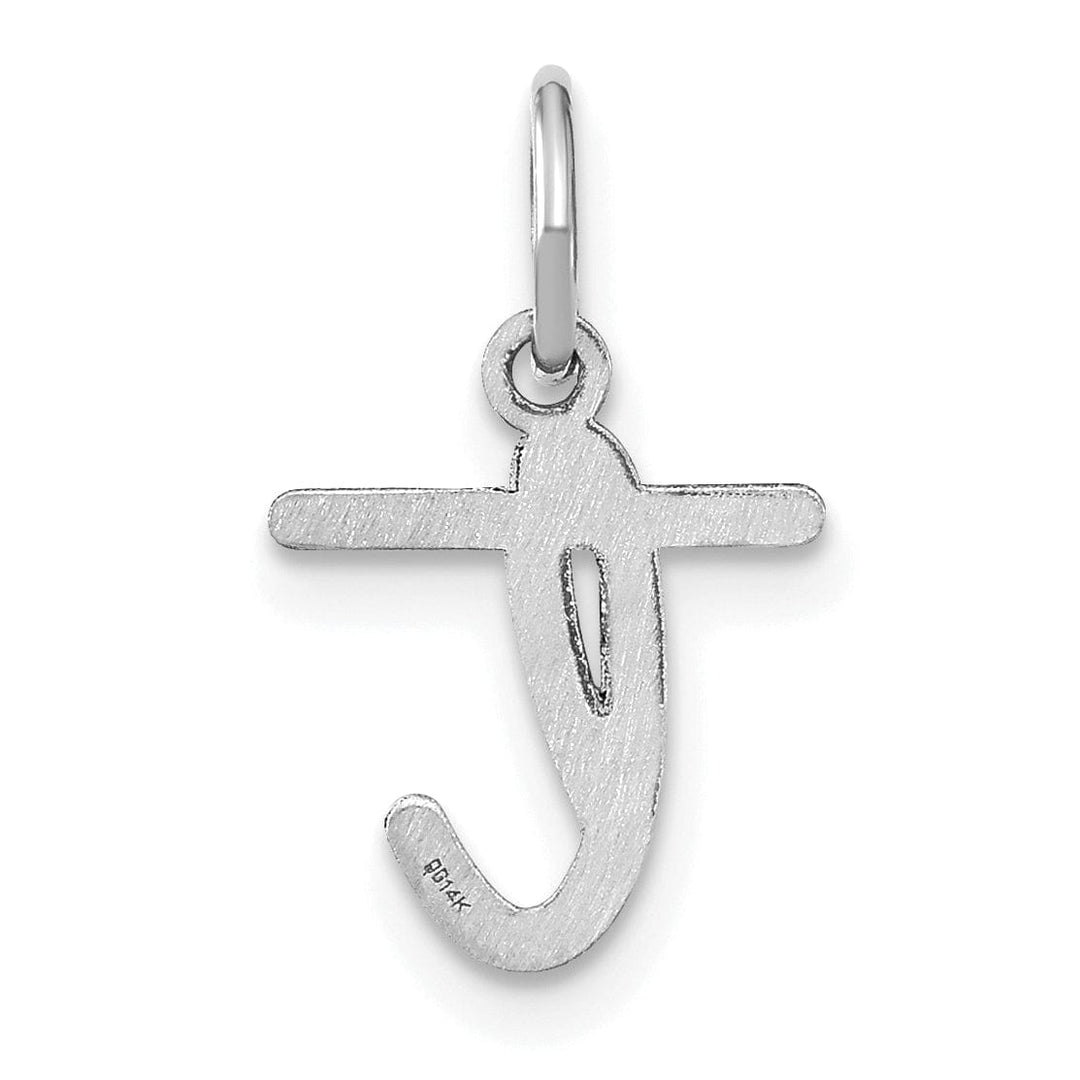 14K White Gold Small Size Lower Case Script Letter T Initial Pendant