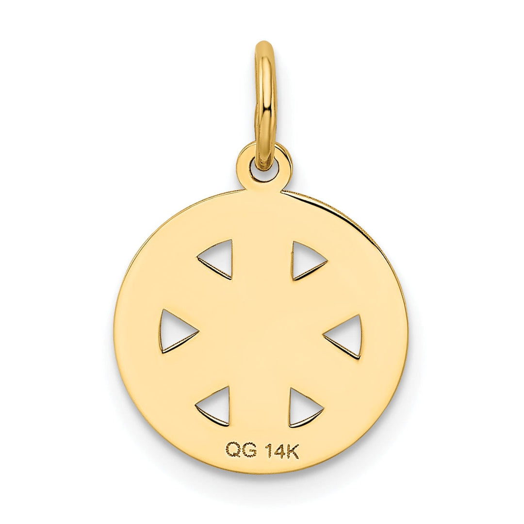 14k Yellow Gold Small Paramedic Medical Pendant