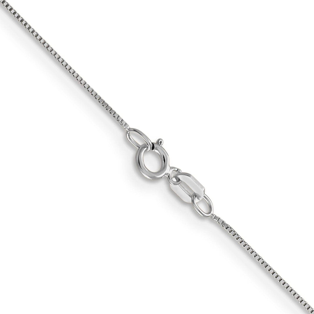 Leslie's Chains Size 20 Leslie's 14K White Gold .5 mm Baby Box