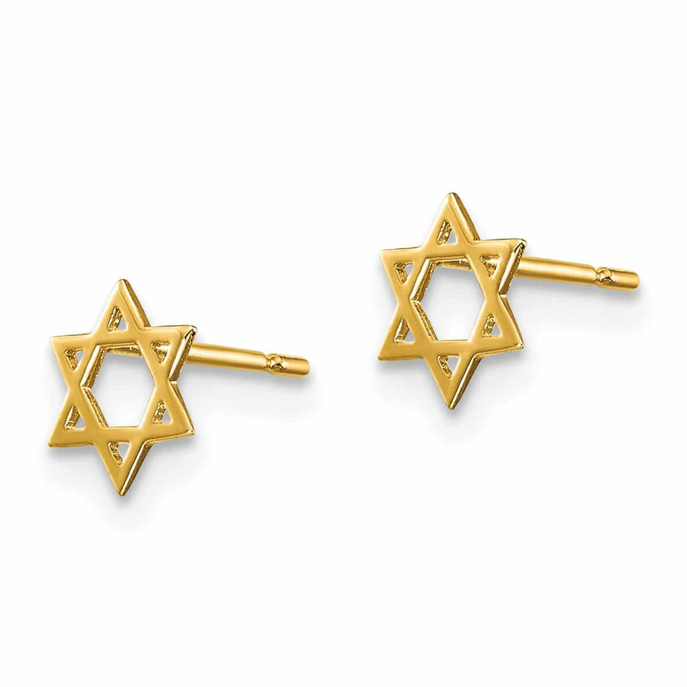 Celebration of Faith Earrings 14k Madi K Star of David Post Earrings