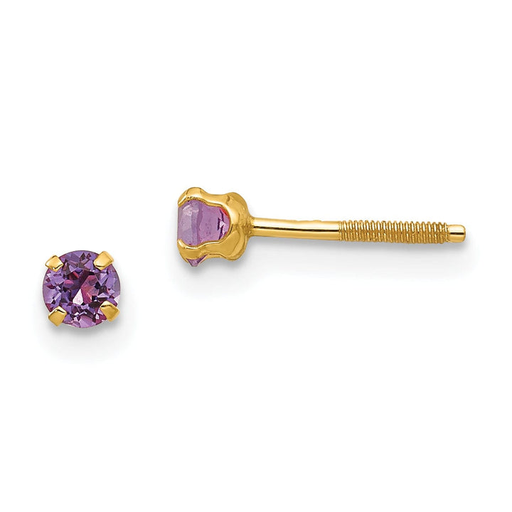 Lovely Rita's Earrings 14k Yellow Gold Amethyst Birthstone Earrings