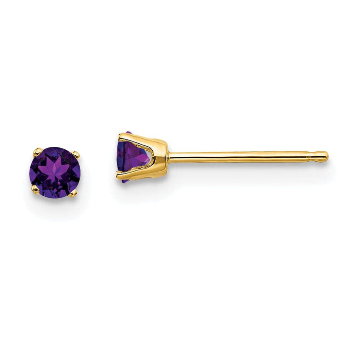Lovely Rita's Earrings 14k Yellow Gold Amethyst Birthstone Earrings