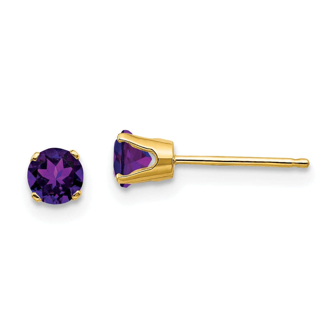 Lovely Rita's Earrings 14k Yellow Gold Amethyst Birthstone Earrings
