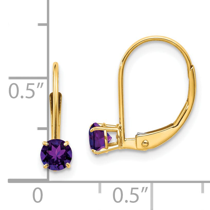 Lovely Rita's Earrings 14k Yellow Gold Amethyst Birthstone Earrings