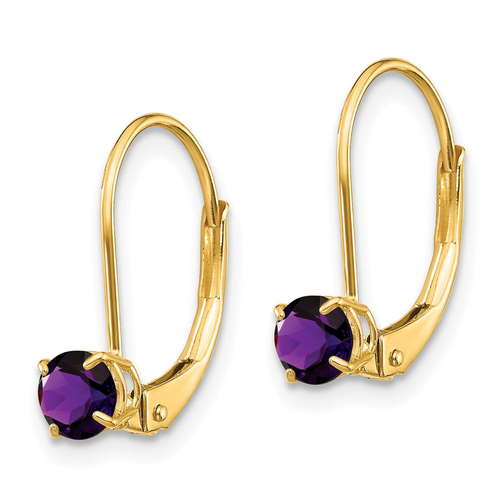 Lovely Rita's Earrings 14k Yellow Gold Amethyst Birthstone Earrings