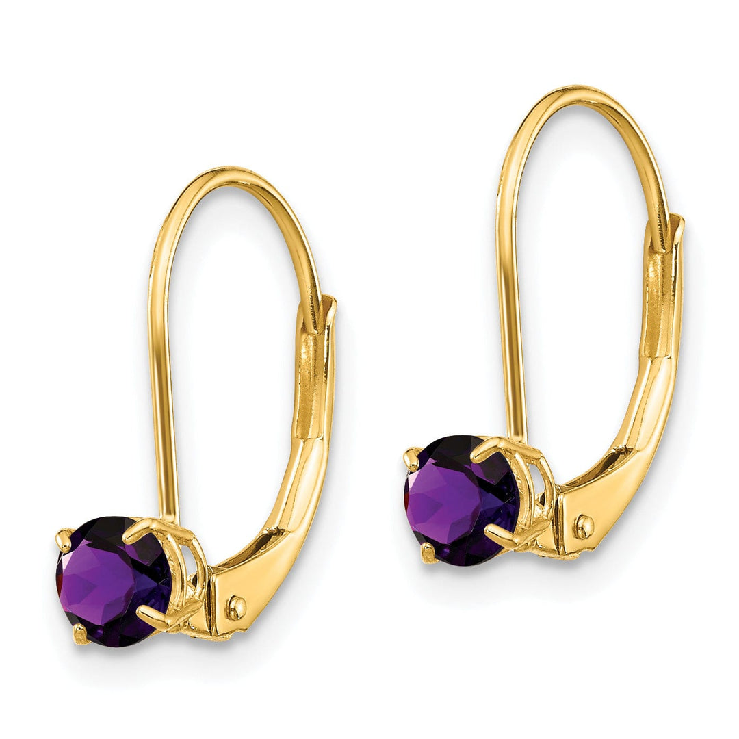 Lovely Rita's Earrings 14k Yellow Gold Amethyst Birthstone Earrings