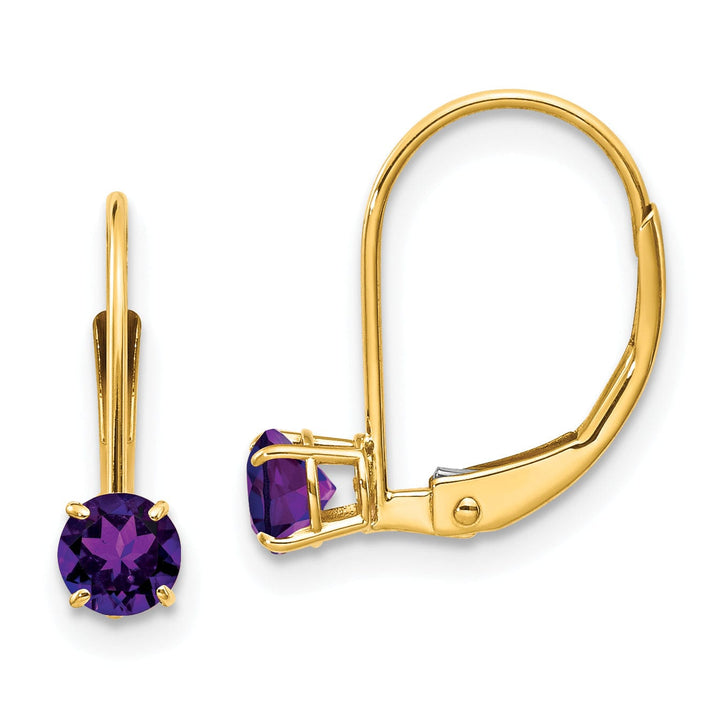 Lovely Rita's Earrings 14k Yellow Gold Amethyst Birthstone Earrings