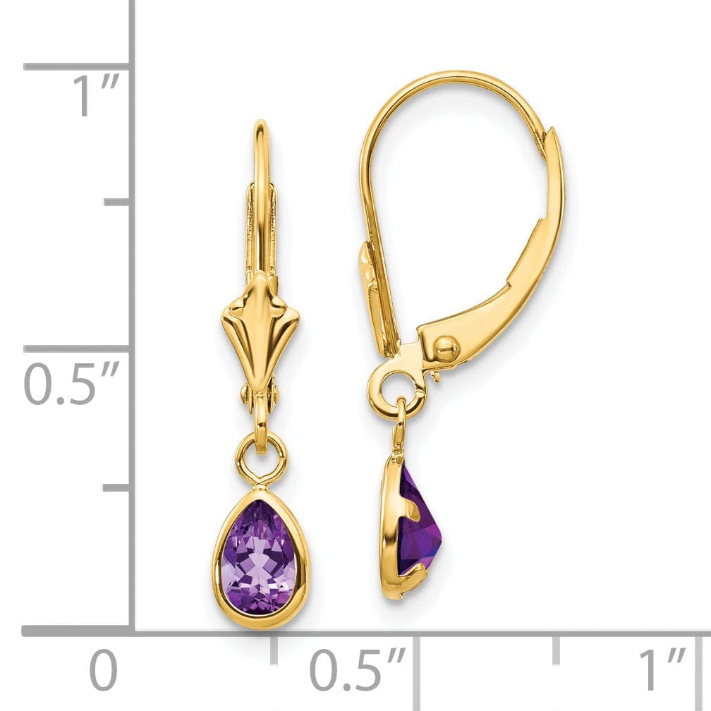 Lovely Rita's Earrings 14k Yellow Gold Amethyst Birthstone Earrings