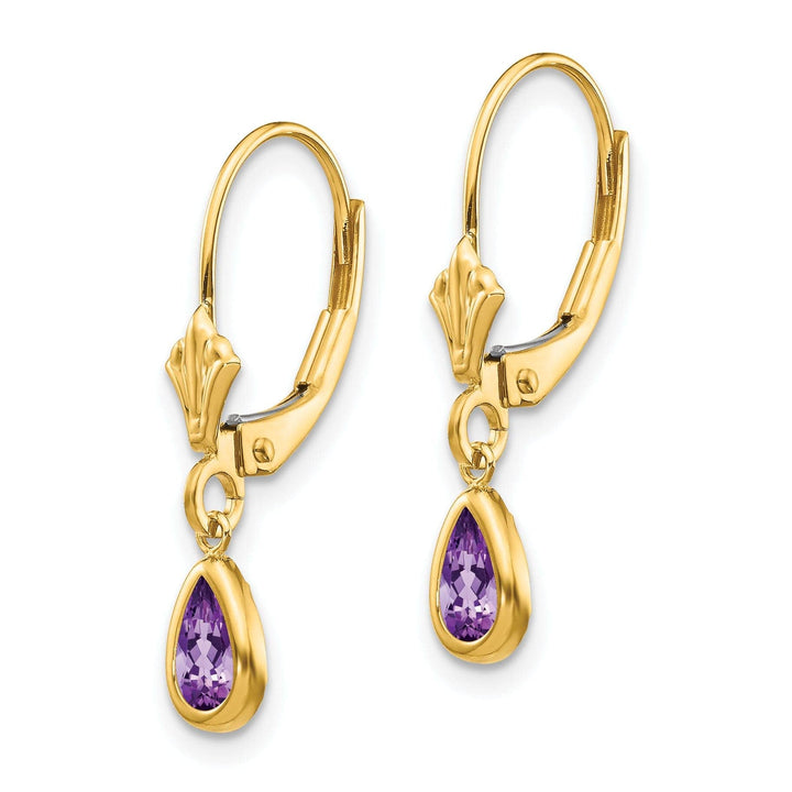 Lovely Rita's Earrings 14k Yellow Gold Amethyst Birthstone Earrings