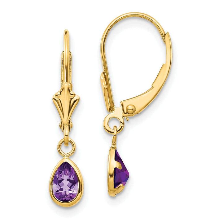 Lovely Rita's Earrings 14k Yellow Gold Amethyst Birthstone Earrings