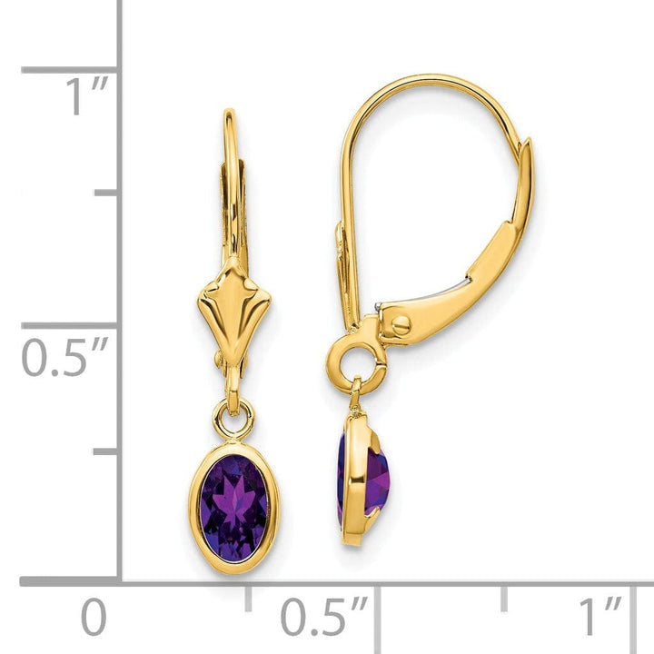 Lovely Rita's Earrings 14k Yellow Gold Amethyst Birthstone Earrings