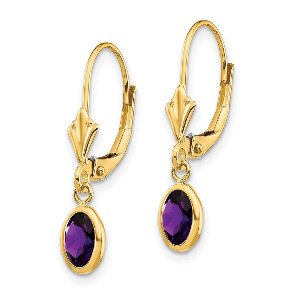 Lovely Rita's Earrings 14k Yellow Gold Amethyst Birthstone Earrings