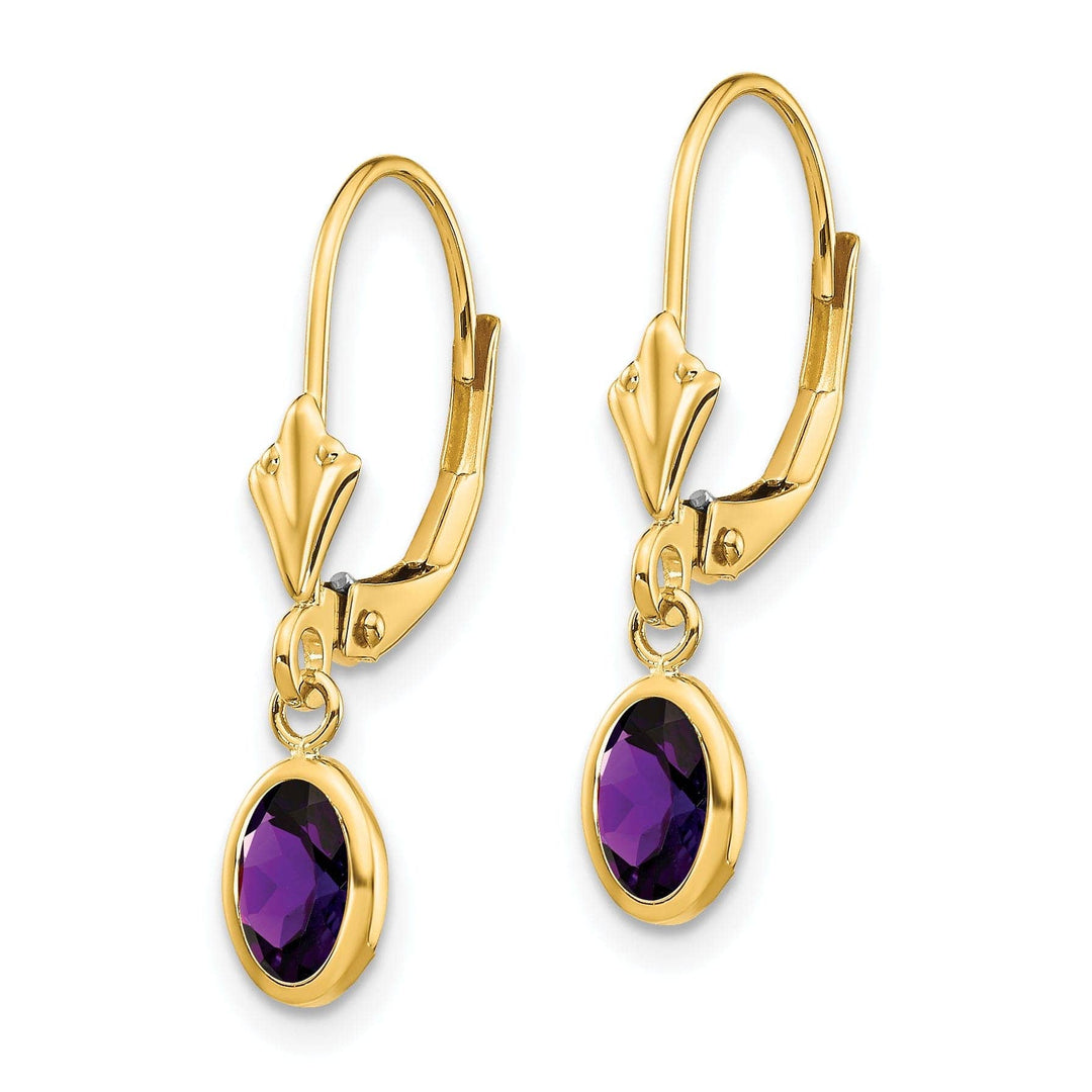 Lovely Rita's Earrings 14k Yellow Gold Amethyst Birthstone Earrings