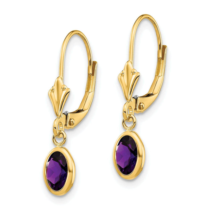 Lovely Rita's Earrings 14k Yellow Gold Amethyst Birthstone Earrings