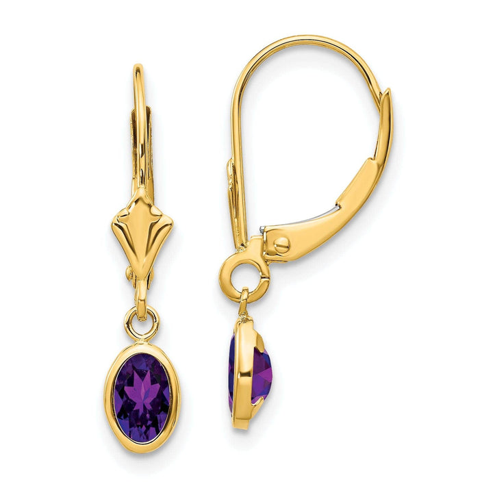 Lovely Rita's Earrings 14k Yellow Gold Amethyst Birthstone Earrings