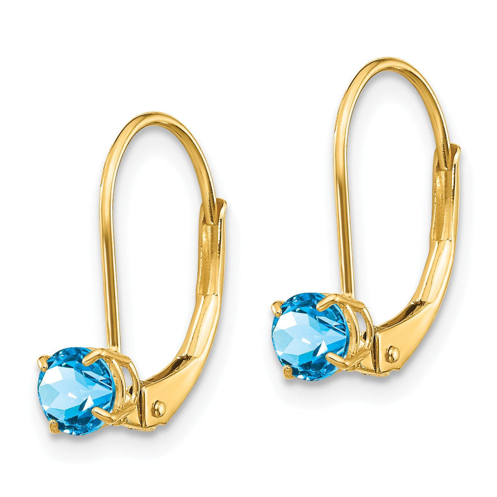 Lovely Rita's Earrings 14k Yellow Gold Blue Topaz Birthstone Earrings