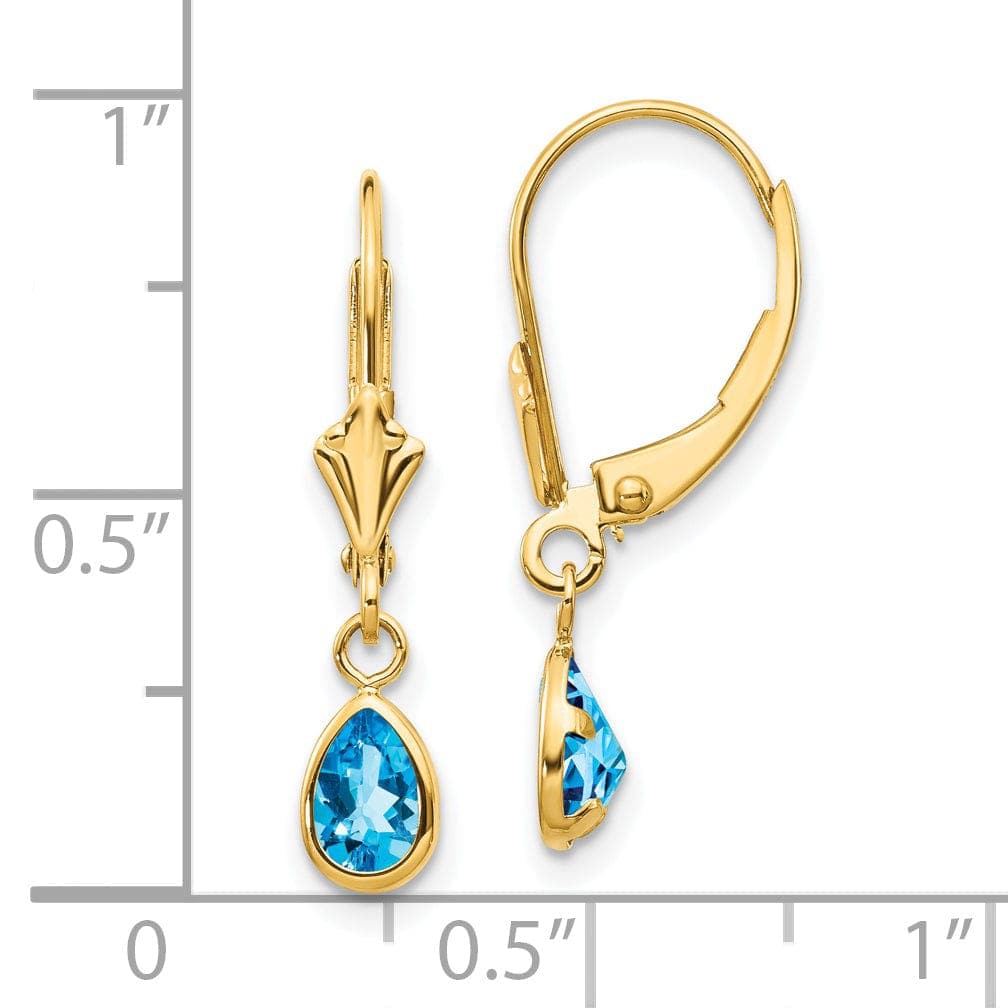 Lovely Rita's Earrings 14k Yellow Gold Blue Topaz Birthstone Earrings