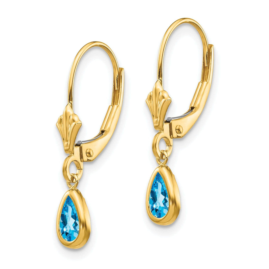 Lovely Rita's Earrings 14k Yellow Gold Blue Topaz Birthstone Earrings