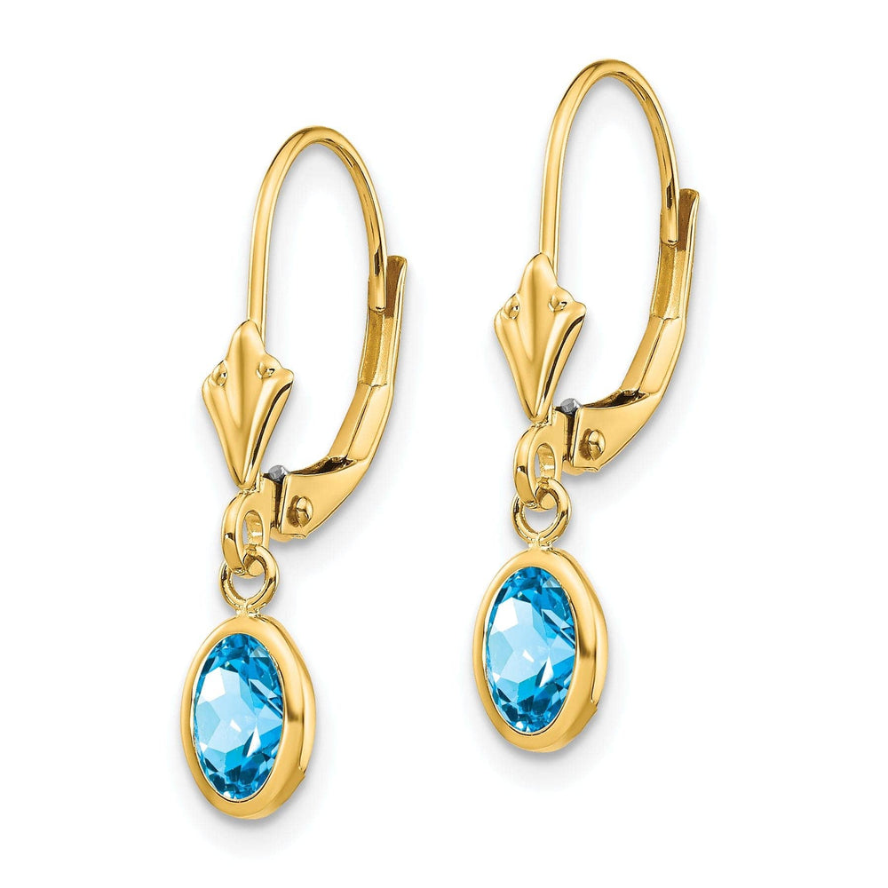 Lovely Rita's Earrings 14k Yellow Gold Blue Topaz Birthstone Earrings