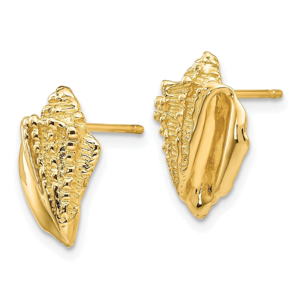 Lovely Rita's Earrings 14k Yellow Gold Conch Shell Earrings
