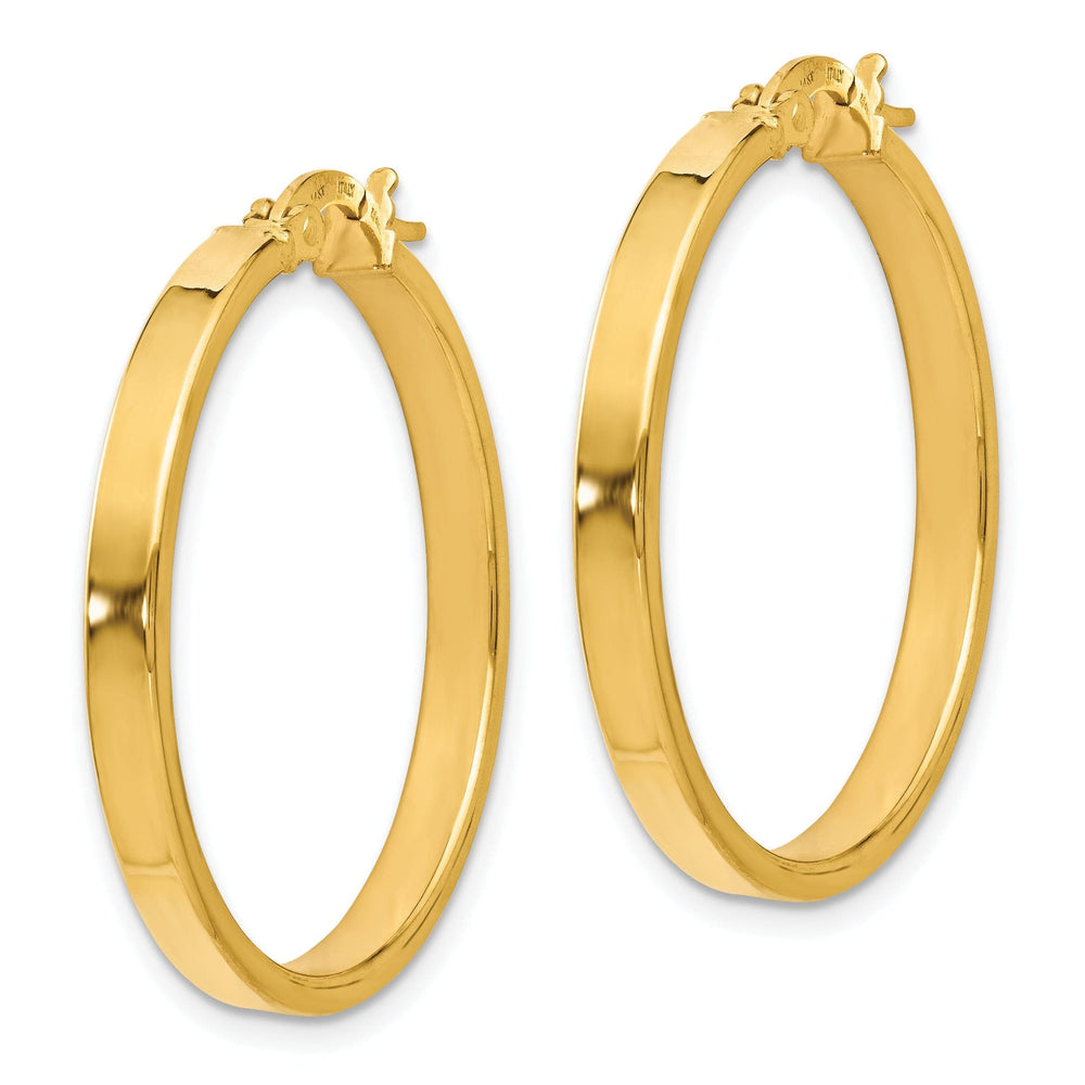 Lovely Rita's Earrings 14k Yellow Gold Polished Finish Earrings