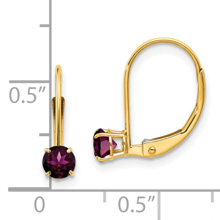 Lovely Rita's Earrings 14k Yellow Gold Polished Rhodolite Garnet Earrings