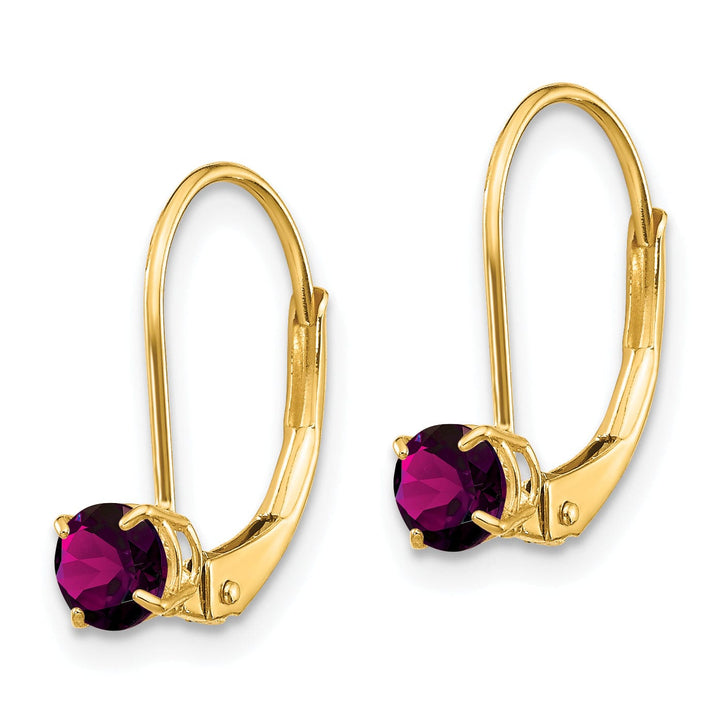 Lovely Rita's Earrings 14k Yellow Gold Polished Rhodolite Garnet Earrings
