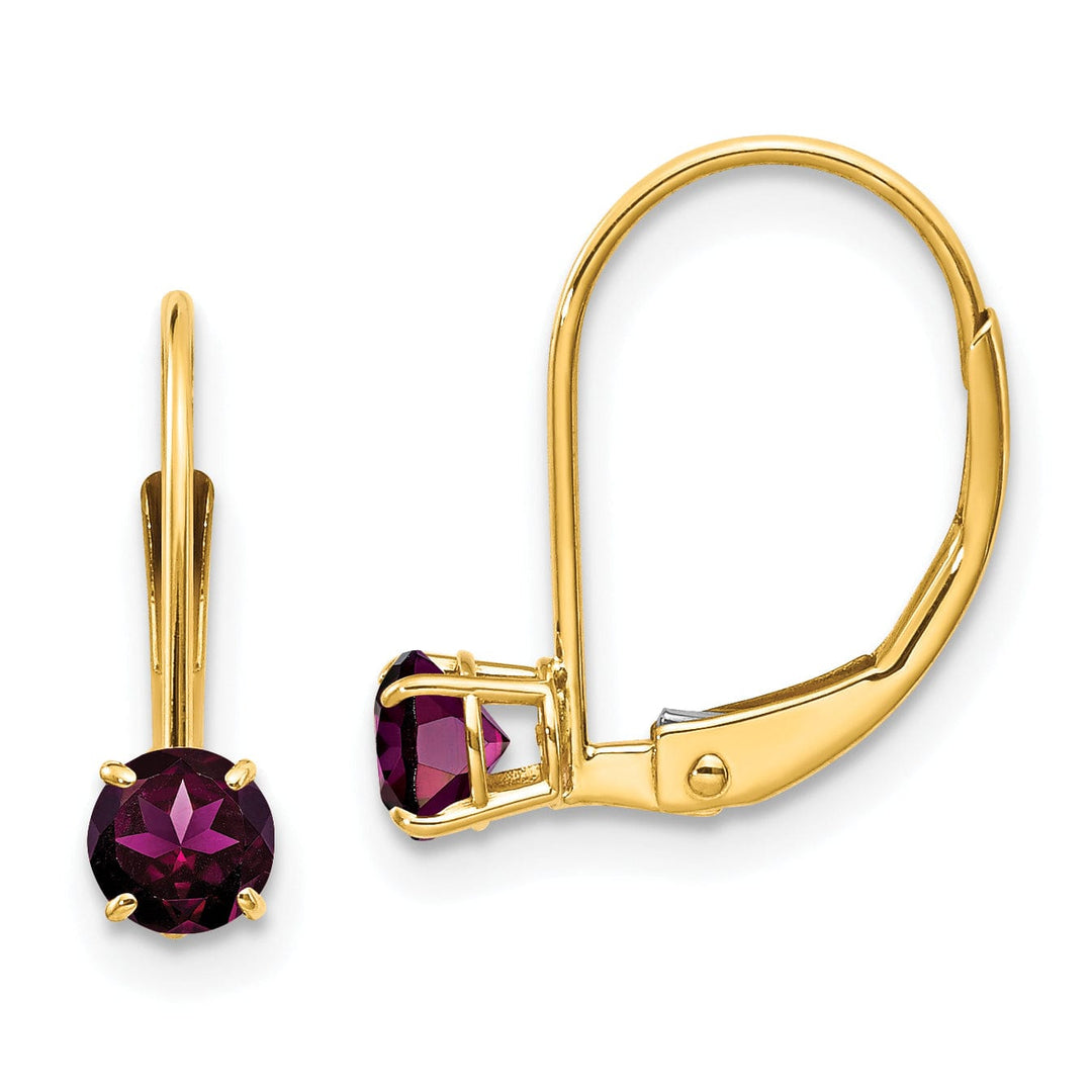 Lovely Rita's Earrings 14k Yellow Gold Polished Rhodolite Garnet Earrings