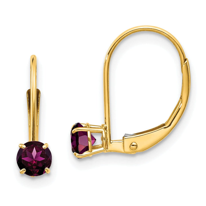 Lovely Rita's Earrings 14k Yellow Gold Polished Rhodolite Garnet Earrings