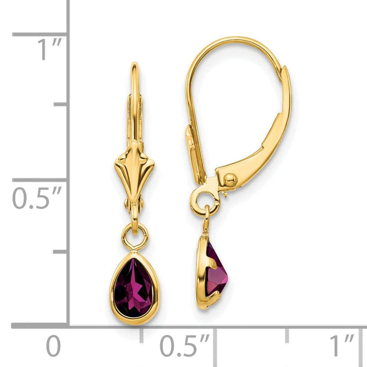 Lovely Rita's Earrings 14k Yellow Gold Polished Rhodolite Garnet Earrings