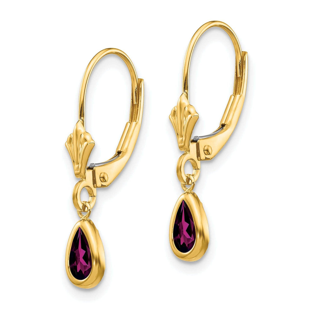 Lovely Rita's Earrings 14k Yellow Gold Polished Rhodolite Garnet Earrings