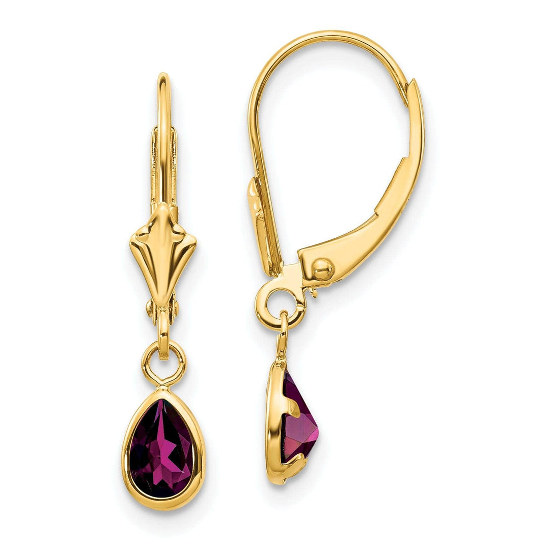 Lovely Rita's Earrings 14k Yellow Gold Polished Rhodolite Garnet Earrings